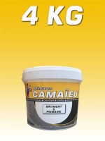 camaieu-wp-emballages-_0010_04KG-primaire-a-eau-JAUNE