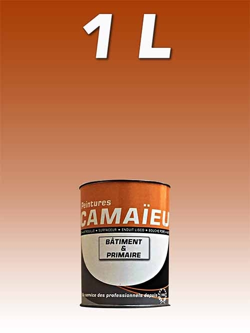 camaieu-wp-emballages-_0026_01L-peinture-primaire-a-huile-BRUN